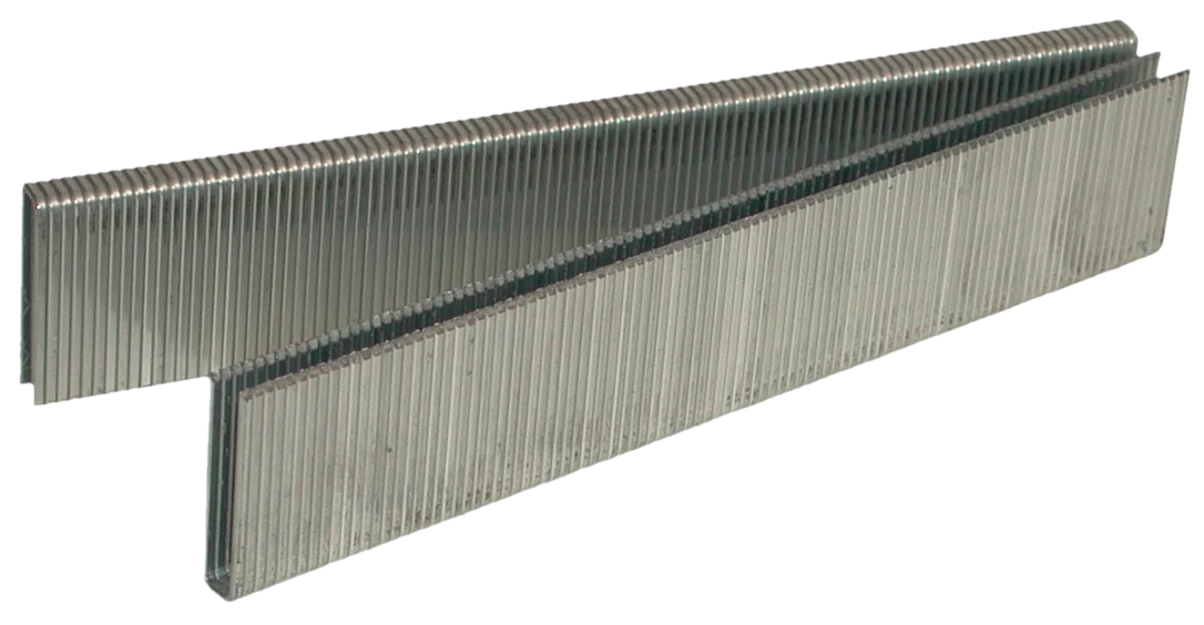 2026_06_12_490246